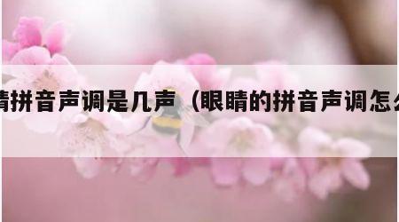 眼睛拼音声调是几声（眼睛的拼音声调怎么读）