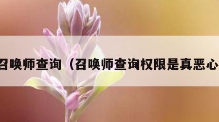 召唤师查询（召唤师查询权限是真恶心）