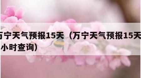 万宁天气预报15天（万宁天气预报15天24小时查询）