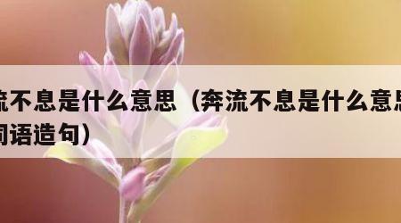 奔流不息是什么意思（奔流不息是什么意思解释词语造句）