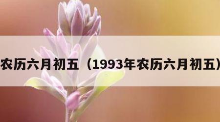 农历六月初五（1993年农历六月初五）