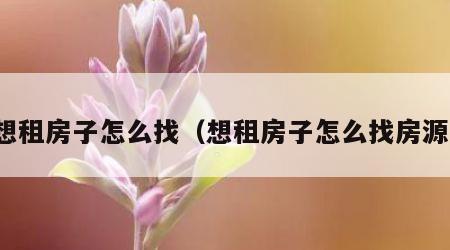 想租房子怎么找（想租房子怎么找房源）