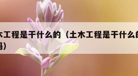 土木工程是干什么的（土木工程是干什么的好学吗）