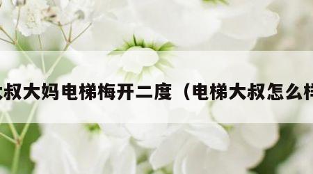 大叔大妈电梯梅开二度（电梯大叔怎么样）