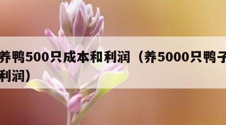 养鸭500只成本和利润（养5000只鸭子利润）