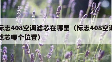 标志408空调滤芯在哪里（标志408空调滤芯哪个位置）