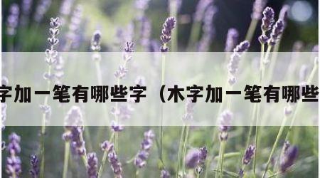 木字加一笔有哪些字（木字加一笔有哪些字）