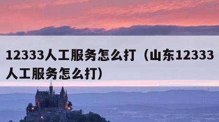 12333人工服务怎么打（山东12333人工服务怎么打）