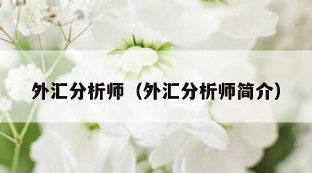 外汇分析师（外汇分析师简介）