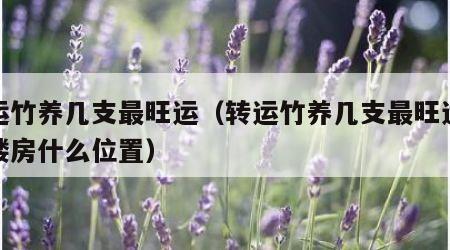 转运竹养几支最旺运（转运竹养几支最旺运放在楼房什么位置）