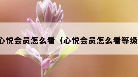 心悦会员怎么看（心悦会员怎么看等级）