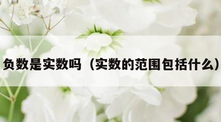 负数是实数吗（实数的范围包括什么）