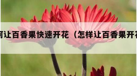 如何让百香果快速开花（怎样让百香果开花结果）