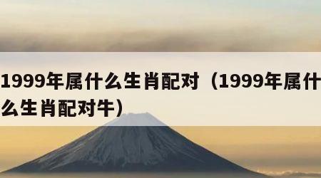 1999年属什么生肖配对（1999年属什么生肖配对牛）