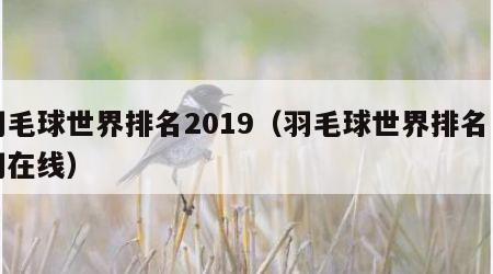 羽毛球世界排名2019（羽毛球世界排名中羽在线）