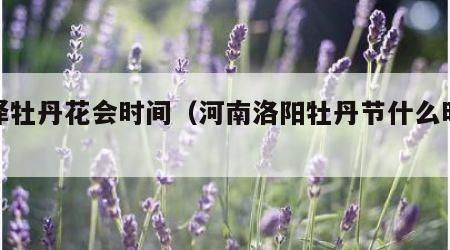 菏泽牡丹花会时间（河南洛阳牡丹节什么时候开）