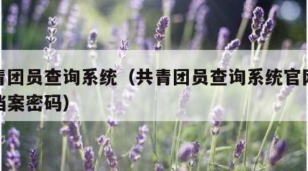 共青团员查询系统（共青团员查询系统官网个人档案密码）