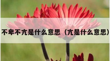 不卑不亢是什么意思（亢是什么意思）