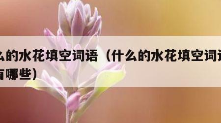 什么的水花填空词语（什么的水花填空词语叠词有哪些）