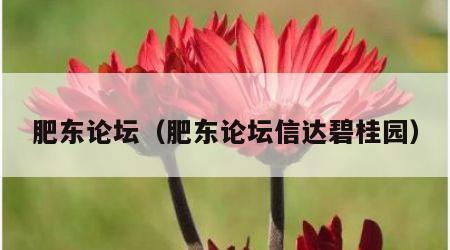 肥东论坛（肥东论坛信达碧桂园）