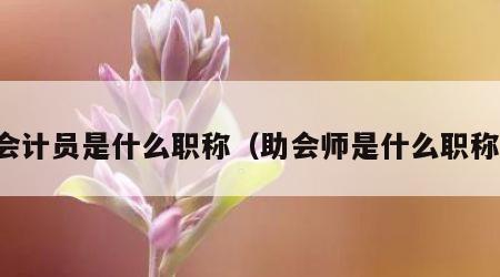 会计员是什么职称（助会师是什么职称）