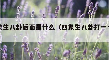 四象生八卦后面是什么（四象生八卦打一个数字）