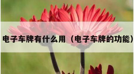 电子车牌有什么用（电子车牌的功能）