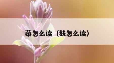 藜怎么读（麸怎么读）