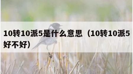 10转10派5是什么意思（10转10派5好不好）