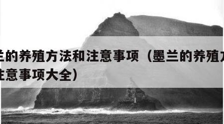 墨兰的养殖方法和注意事项（墨兰的养殖方法和注意事项大全）