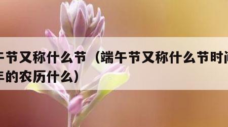 端午节又称什么节（端午节又称什么节时间是每年的农历什么）