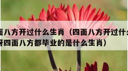 四面八方开过什么生肖（四面八方开过什么生肖呀四面八方都毕业的是什么生肖）