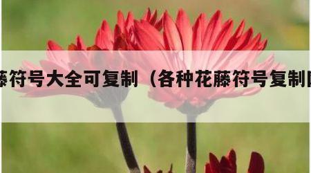 花藤符号大全可复制（各种花藤符号复制网名）