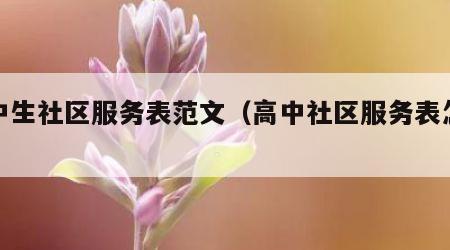 高中生社区服务表范文（高中社区服务表怎么填）