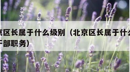 北京区长属于什么级别（北京区长属于什么级别干部职务）