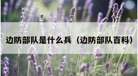 边防部队是什么兵（边防部队百科）