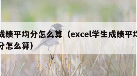 成绩平均分怎么算（excel学生成绩平均分怎么算）