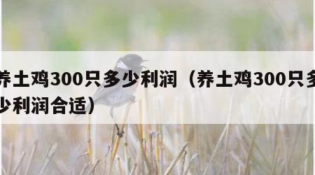 养土鸡300只多少利润（养土鸡300只多少利润合适）