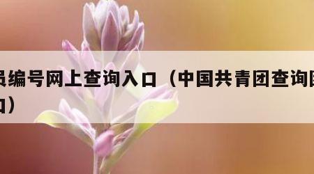 团员编号网上查询入口（中国共青团查询团员入口）