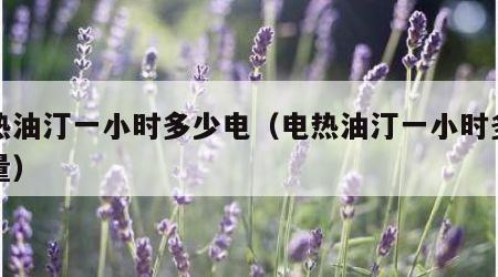 电热油汀一小时多少电（电热油汀一小时多少电量）