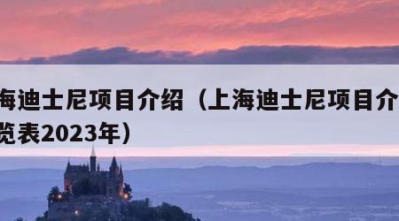 上海迪士尼项目介绍（上海迪士尼项目介绍 一览表2023年）