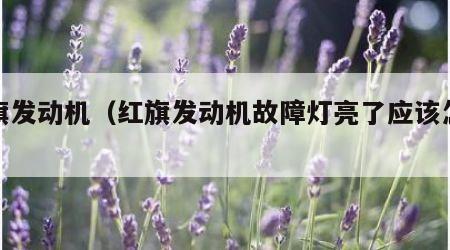 红旗发动机（红旗发动机故障灯亮了应该怎么办）