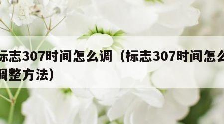 标志307时间怎么调（标志307时间怎么调整方法）