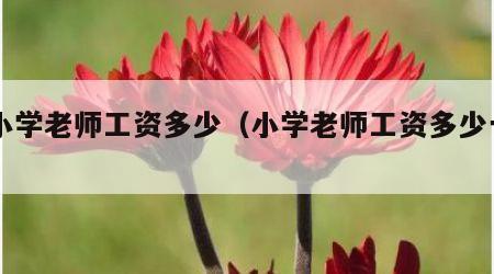 当小学老师工资多少（小学老师工资多少一月）