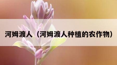 河姆渡人（河姆渡人种植的农作物）