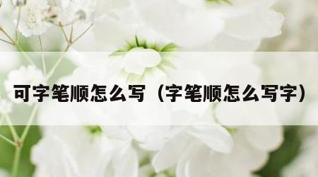 可字笔顺怎么写（字笔顺怎么写字）