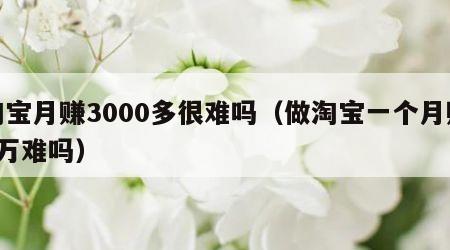 淘宝月赚3000多很难吗（做淘宝一个月赚3万难吗）