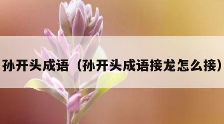 孙开头成语（孙开头成语接龙怎么接）