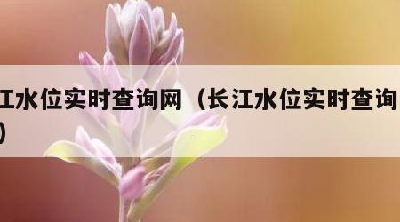 长江水位实时查询网（长江水位实时查询网app）