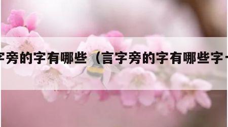 言字旁的字有哪些（言字旁的字有哪些字一年级）